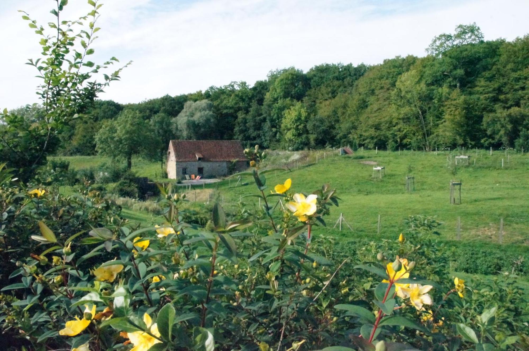 Desvres Hotel Du Moulin Aux Draps المظهر الخارجي الصورة